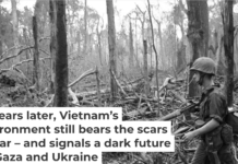During the Vietnam War, the U.S. bombed and defoliated vast areas of forest and protective mangroves. AP Photo